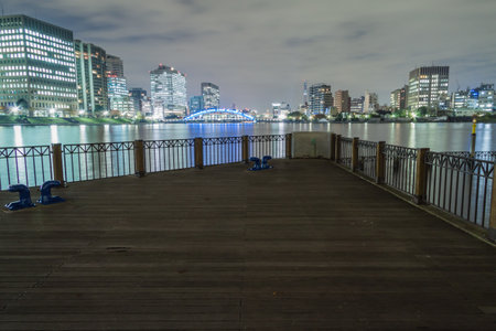 Tokyo Night viewのeditorial素材
