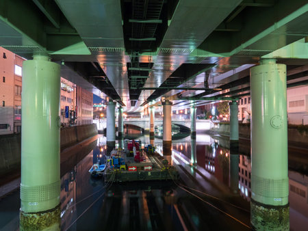 Tokyo Night viewのeditorial素材