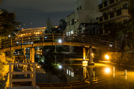 Tokyo Night viewのeditorial素材