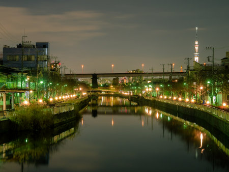 Tokyo Night viewのeditorial素材