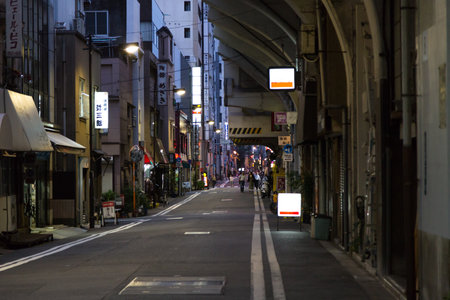 Tokyo Night viewのeditorial素材