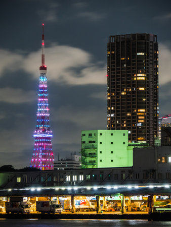 Tokyo Night viewのeditorial素材