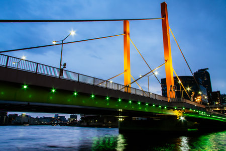 Bridge in Japan Night viewのeditorial素材