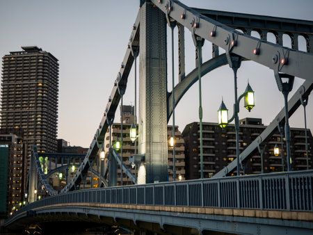 Bridge in Japan Night viewのeditorial素材