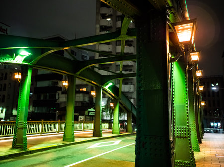 Bridge in Japan Night viewのeditorial素材