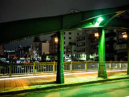 Bridge in Japan Night viewのeditorial素材