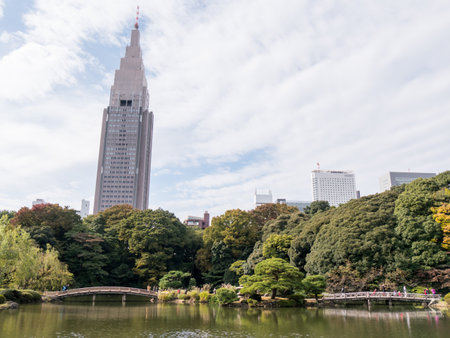 Japan shinjuku gyoen at autumnのeditorial素材