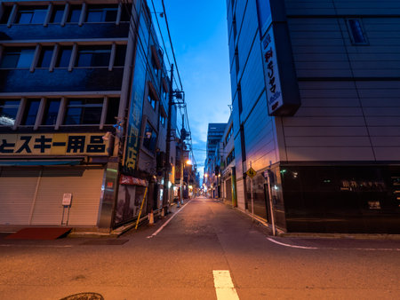 Tokyo Akihabara night viewのeditorial素材