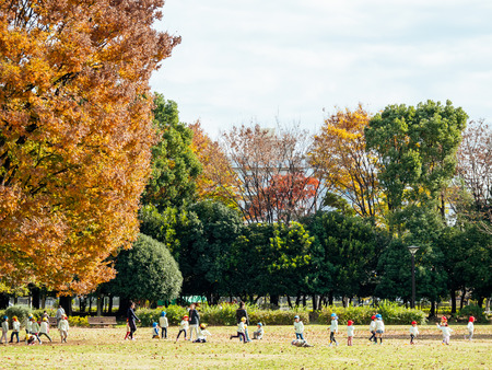 Tokyo autumn leavesの写真素材