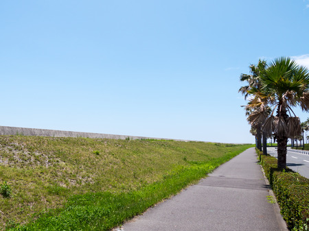 Japanese landscapeの写真素材
