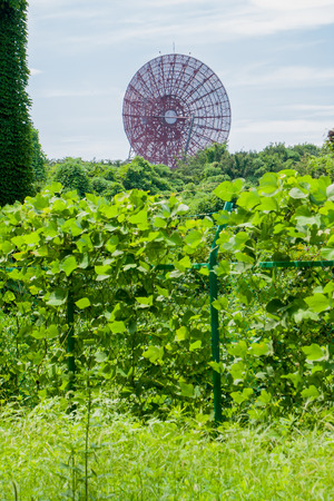 parabolic antennaの写真素材