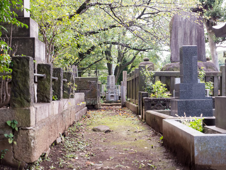 Japanese tomb