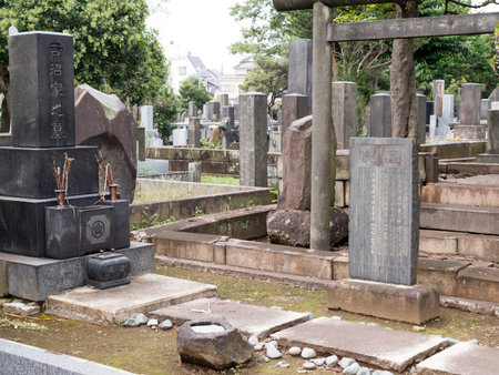 Japanese tombの写真素材