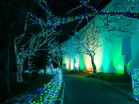 Amusement park in Japan Night viewのeditorial素材