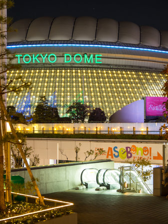 Amusement park in Japan Night viewのeditorial素材