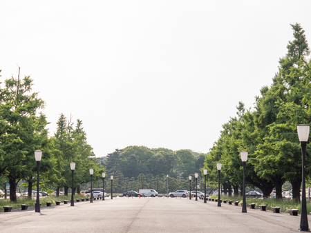Tokyo stationの写真素材