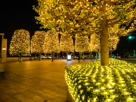 Japan Night viewの写真素材