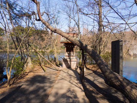 Japan Shakujii Parkのeditorial素材