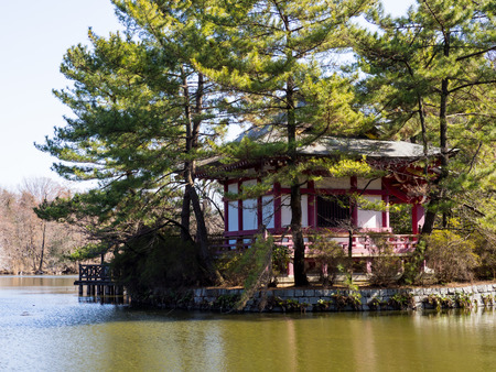 Japan Shakujii Parkの写真素材