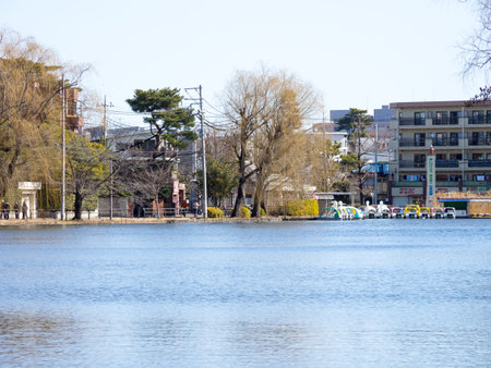 Japan Shakujii Parkのeditorial素材