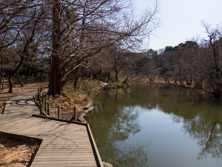 Japan Shakujii Parkの写真素材