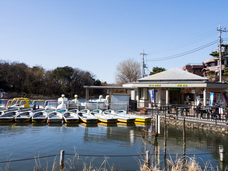 Japan Shakujii Parkのeditorial素材