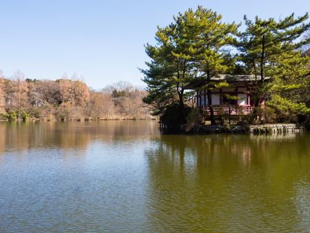 Japan Shakujii Parkの写真素材