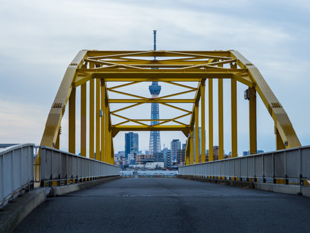 Bridge night view in Japanのeditorial素材