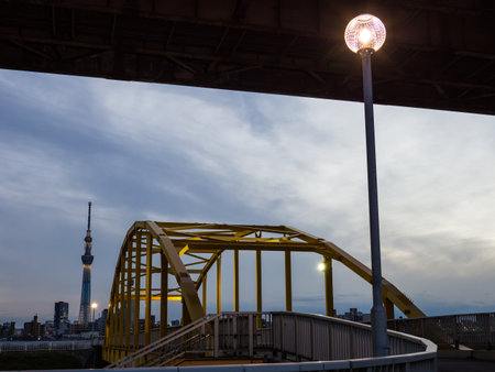 Bridge night view in Japanのeditorial素材