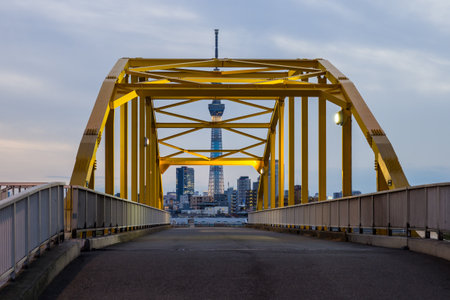 Bridge night view in Japanのeditorial素材