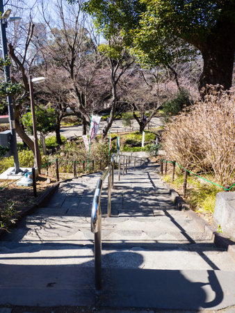 Japan Ueno Parkのeditorial素材