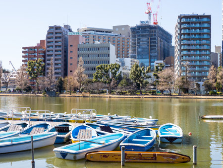 Japan Ueno Parkのeditorial素材