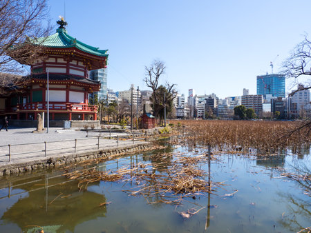Japan Ueno Parkのeditorial素材