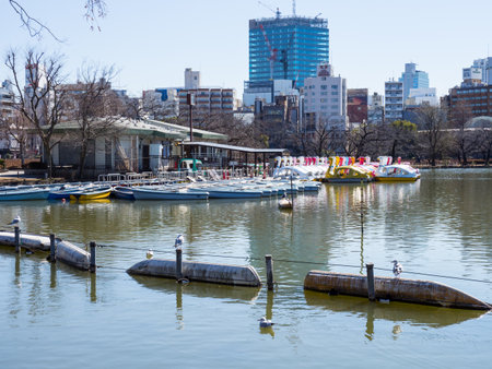 Japan Ueno Parkのeditorial素材