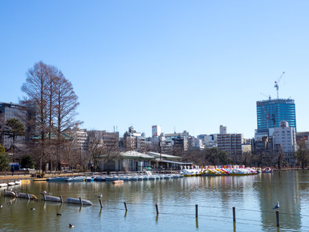 Japan Ueno Parkのeditorial素材