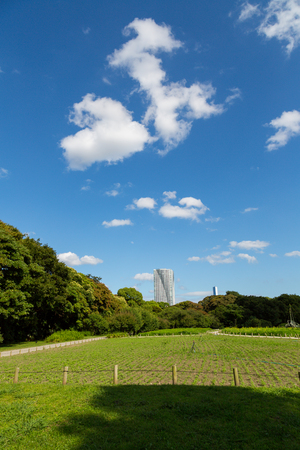 Park in Japanの写真素材