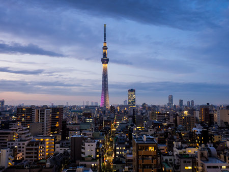 Japan Night view