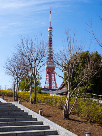 Tokyo Towerのeditorial素材