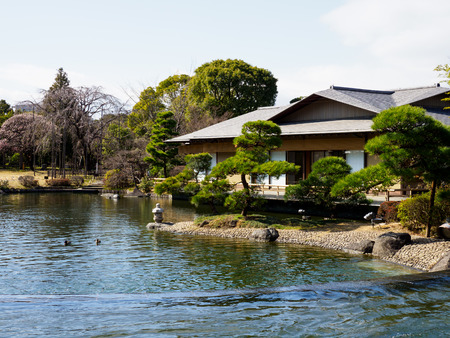 Japanese gardenの写真素材