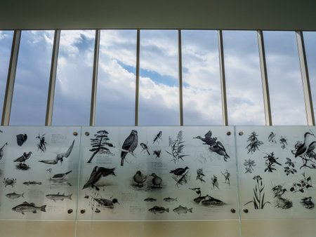 Glass roomのeditorial素材