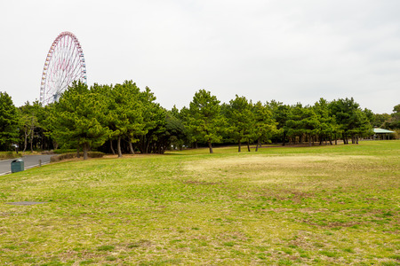 Park in Japanの写真素材