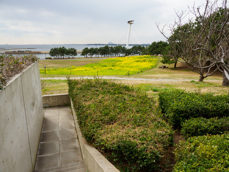 Park in Japanの写真素材