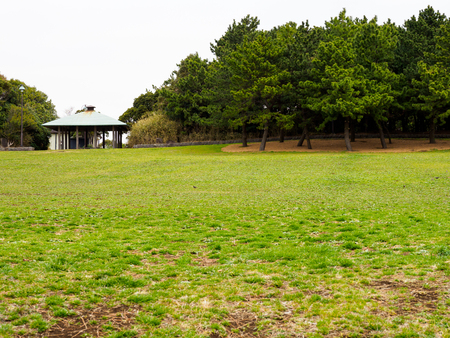 Park in Japanの写真素材