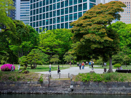 Hama rikyu japanese gardenのeditorial素材