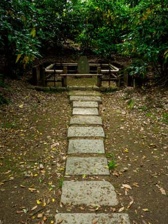 Hama rikyu japanese gardenの写真素材