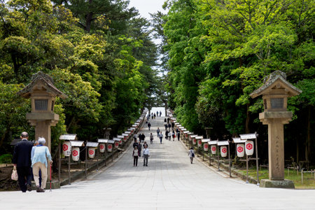 Izumo Taisha Shrineのeditorial素材
