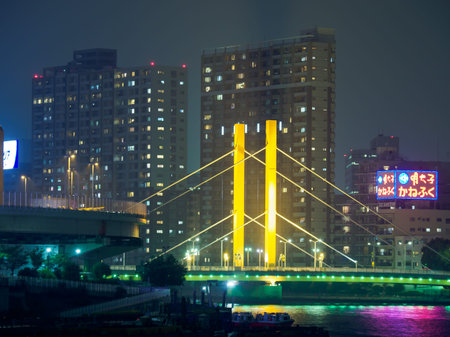 Bridge night view in Japan