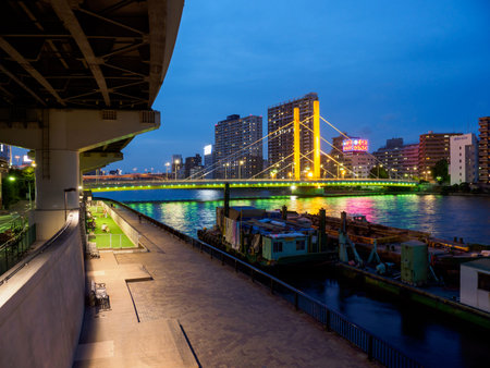 Bridge night view in Japan
