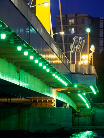 Bridge night view in Japanのeditorial素材