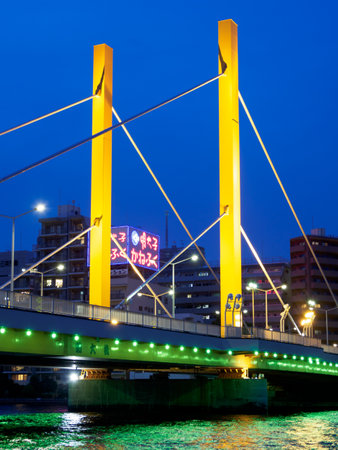 Bridge night view in Japanのeditorial素材